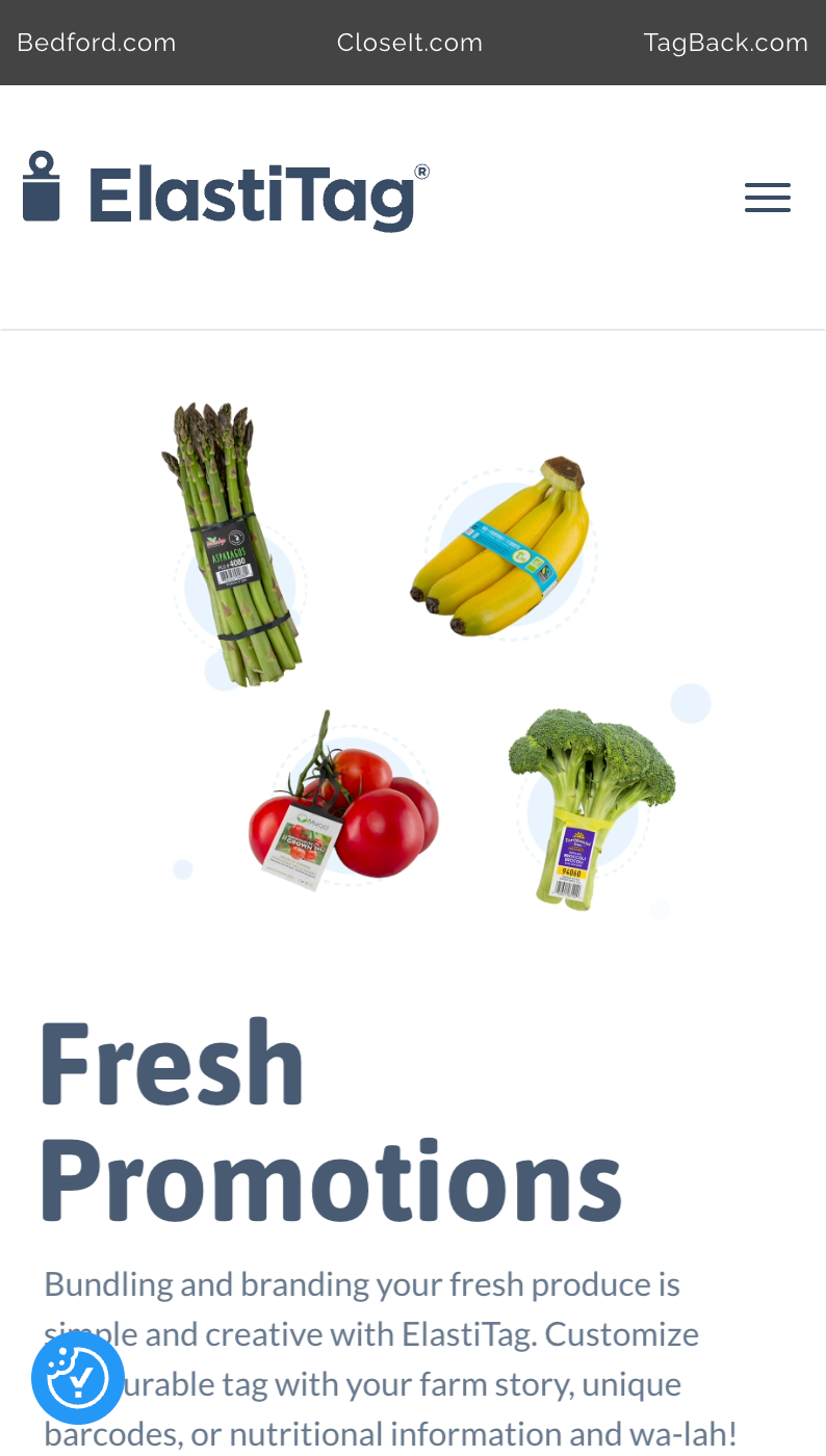 Screen shot of the Elastitag's updated home page at mobile width.